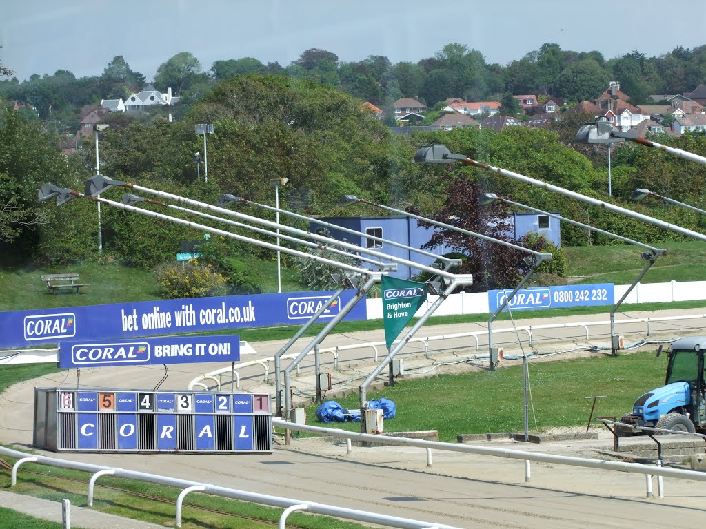 Brighton & Hove Greyhound Stadium --2012-- by Fueloep