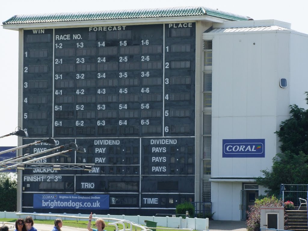 Brighton & Hove Greyhound Stadium --2012-- by Fueloep