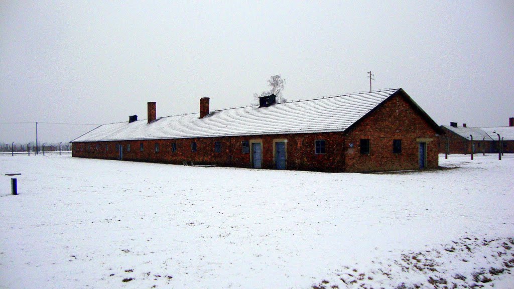 POLONIA Barracón de obra - Campo de Concentración Auschwitz II-Birkenau, Oswiecim by Talavan