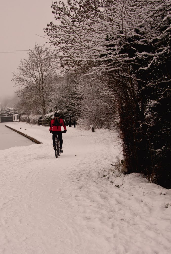 Man in red by knowle