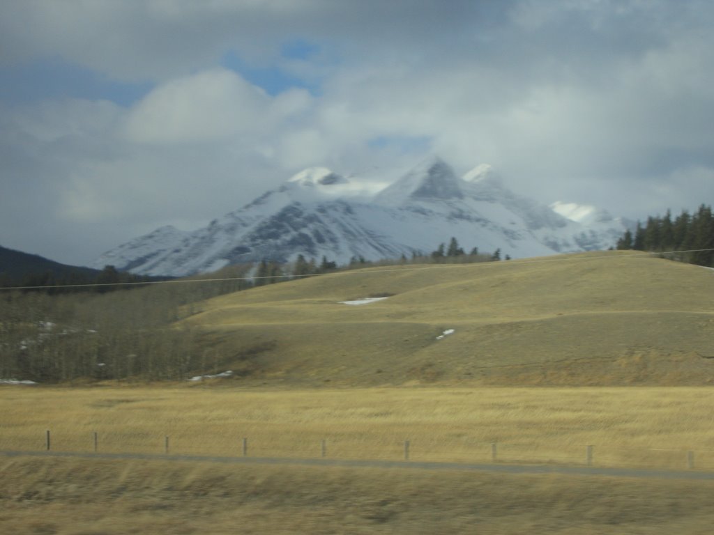 Contrasts - Mountain Snows in the High Elevation Dry Prairie Grassland in the Lower Elevation in Southern AB by David Cure-Hryciuk