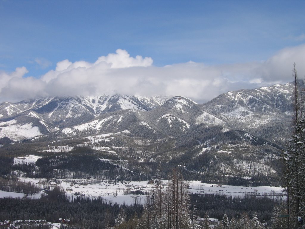 Mountains and Pines Overlooking the Elk Valley at Fernie BC by David Cure-Hryciuk