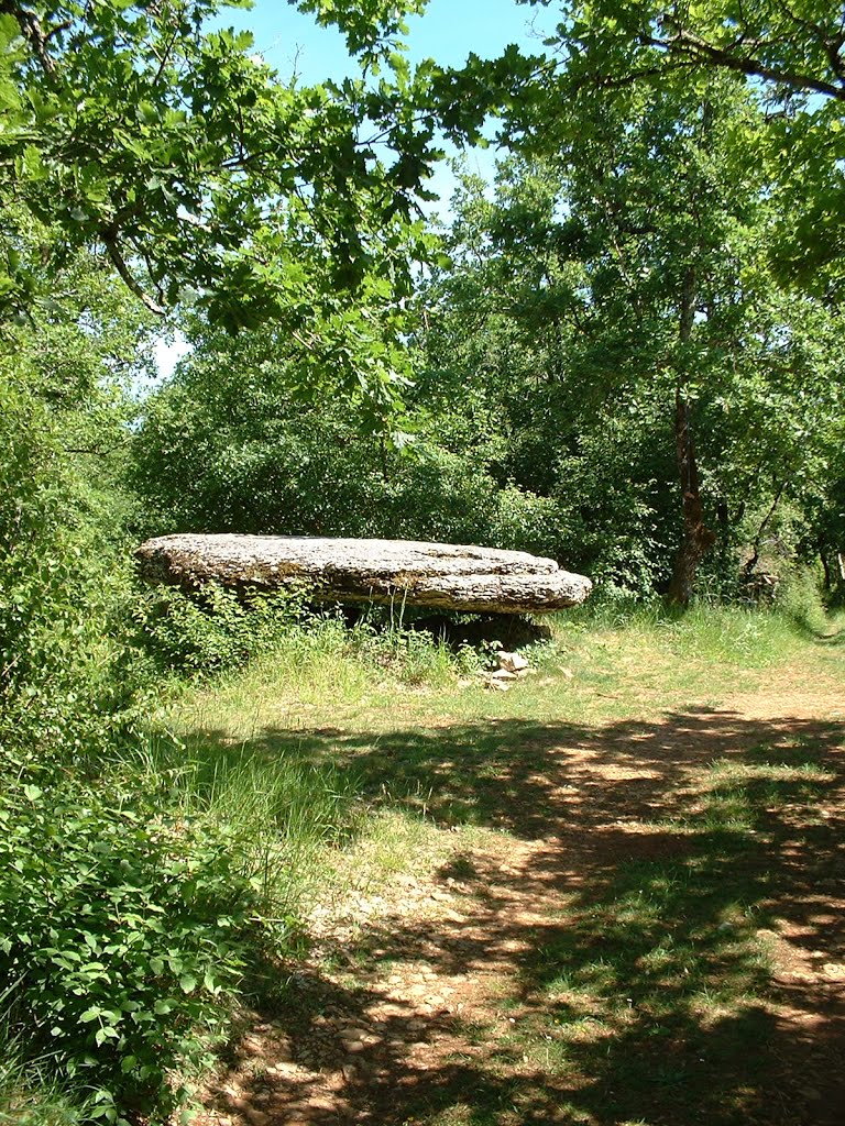 Dolmen de La peyre lévade à Laramière by Yann LESELLIER