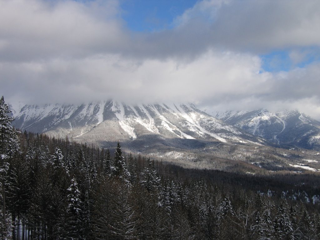 Pine Slopes And The Majestic Mountain Wearing A Cloud Hat Above Fernie BC by David Cure-Hryciuk