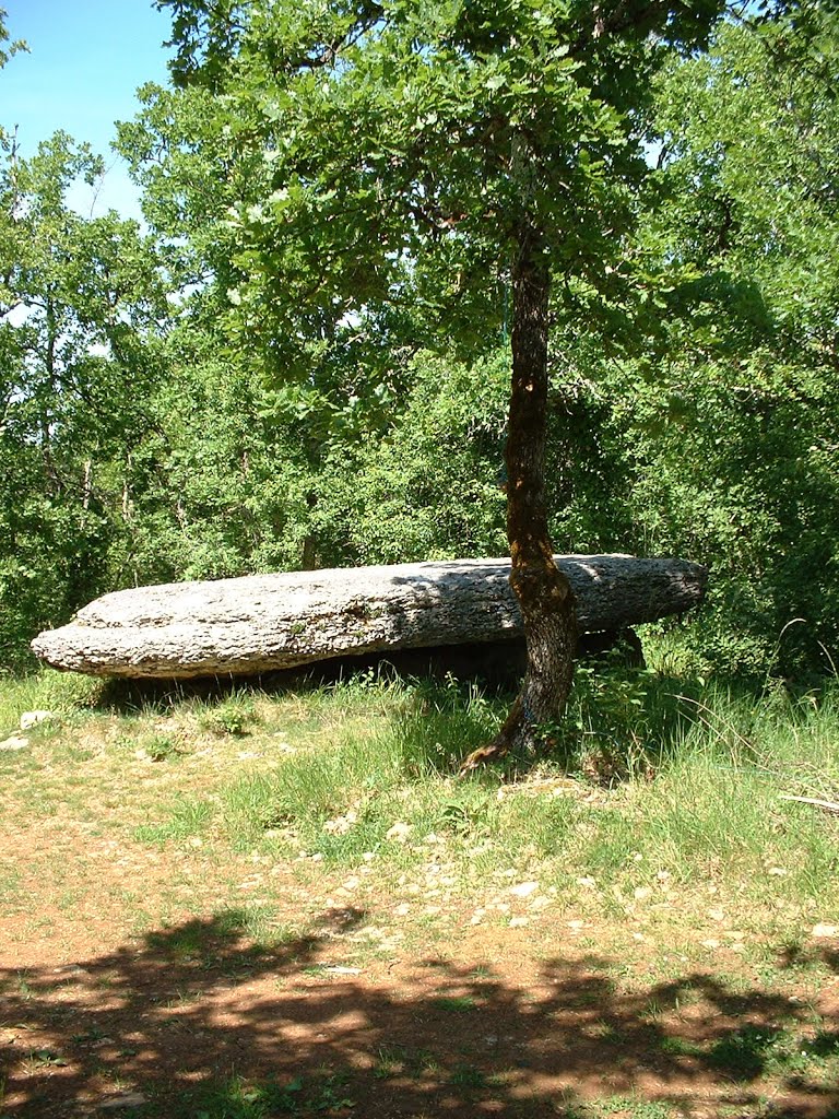 Dolmen de La peyre lévade à Laramière by Yann LESELLIER