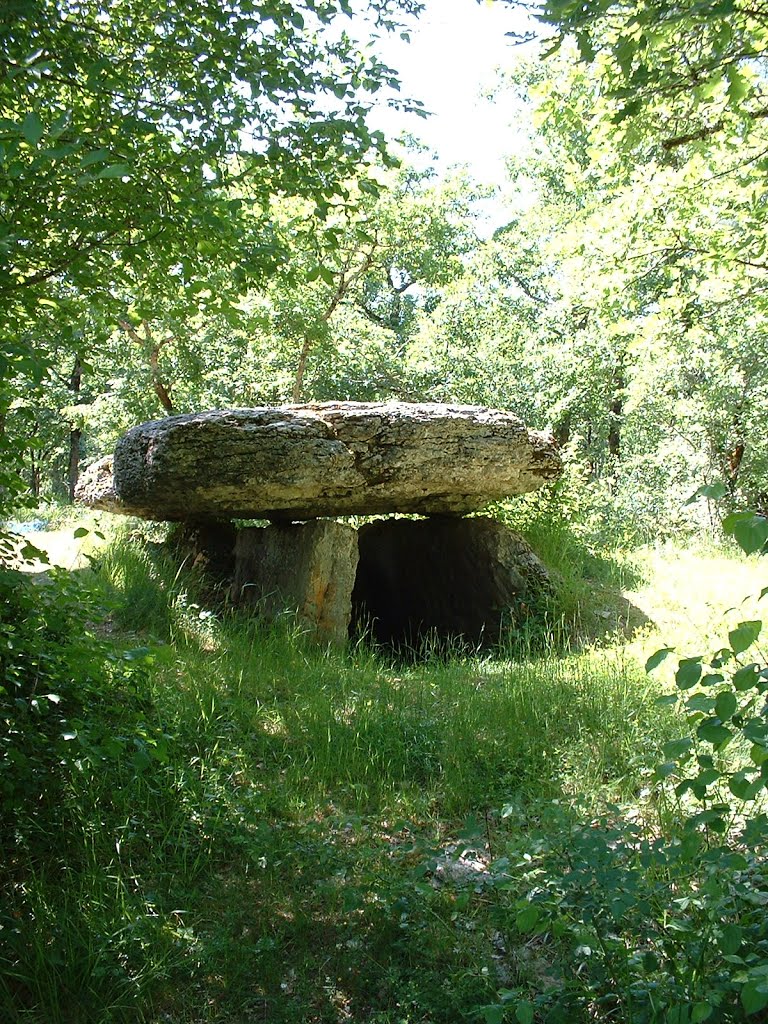 Dolmen de La peyre lévade à Laramière by Yann LESELLIER