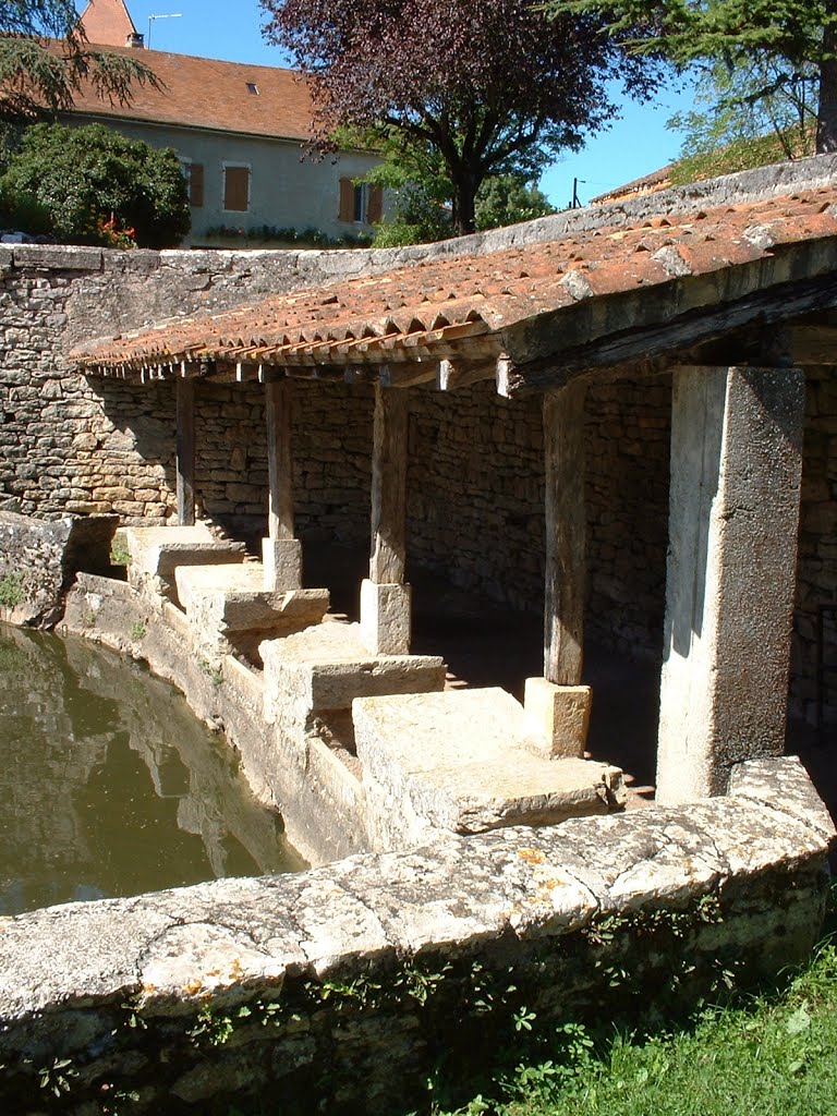 Lavoir papillon à Varaire by Yann LESELLIER