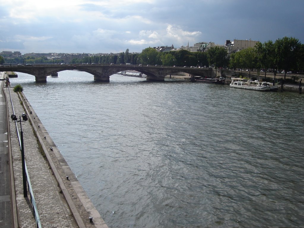 Riu Sena des del Pont d'Alexandre III by Sergi Boixader