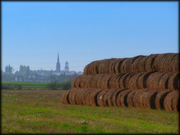 Rawicz - Churches by gigman