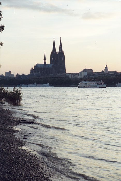 Rhein. Dom. by Bunakoff