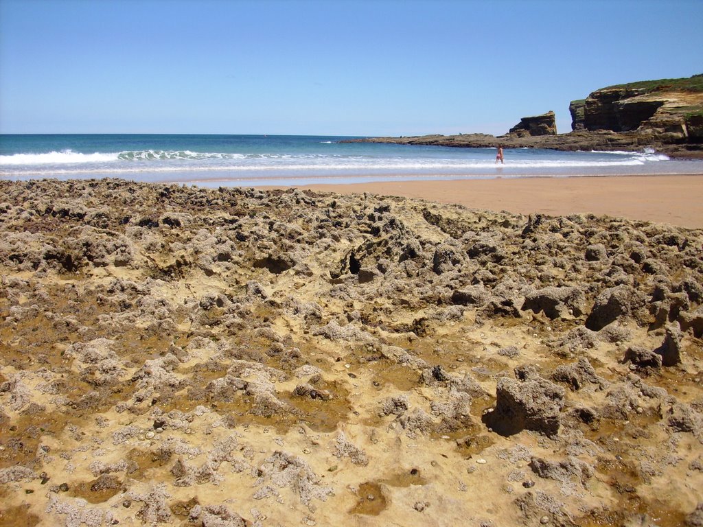 Rocas en la playa de Galizano, Cantabria by aldritx