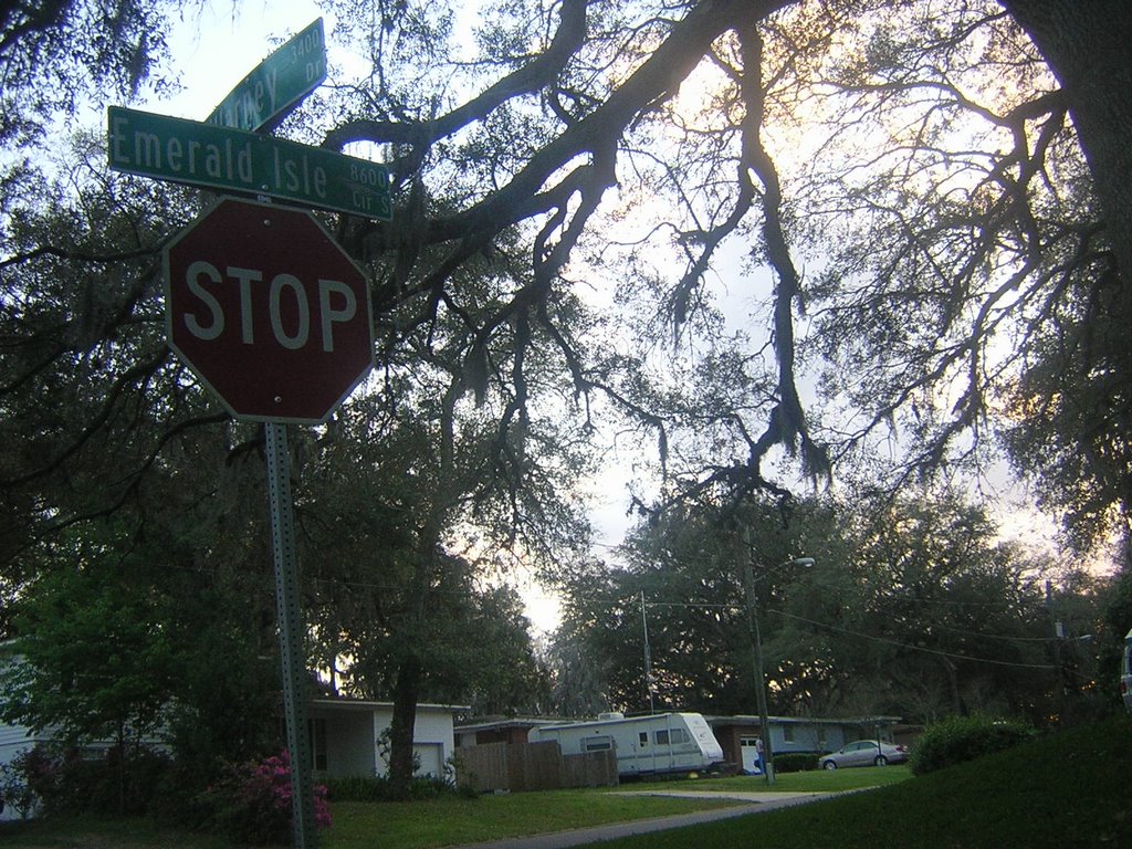 Killarney Drive At Emerald Isle Circle South by Kyle Stephen Smith