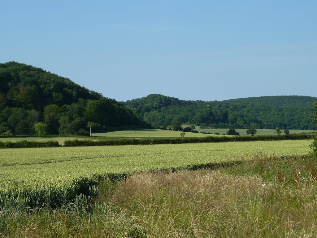 July 2011. Torberry Hill and South Downs from near West Harting. by RedRobbo