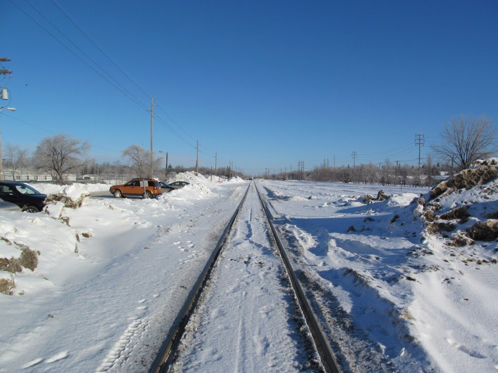 Tracks by curtis72