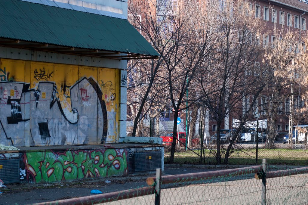 Februári napsütés Angyalföldön by hatja-budapest