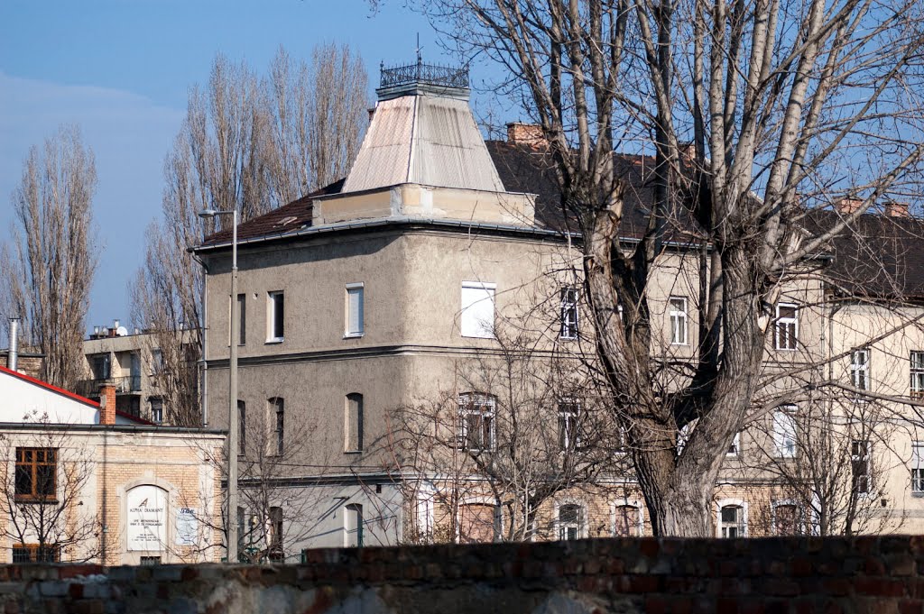 Februári napsütés Angyalföldön by hatja-budapest