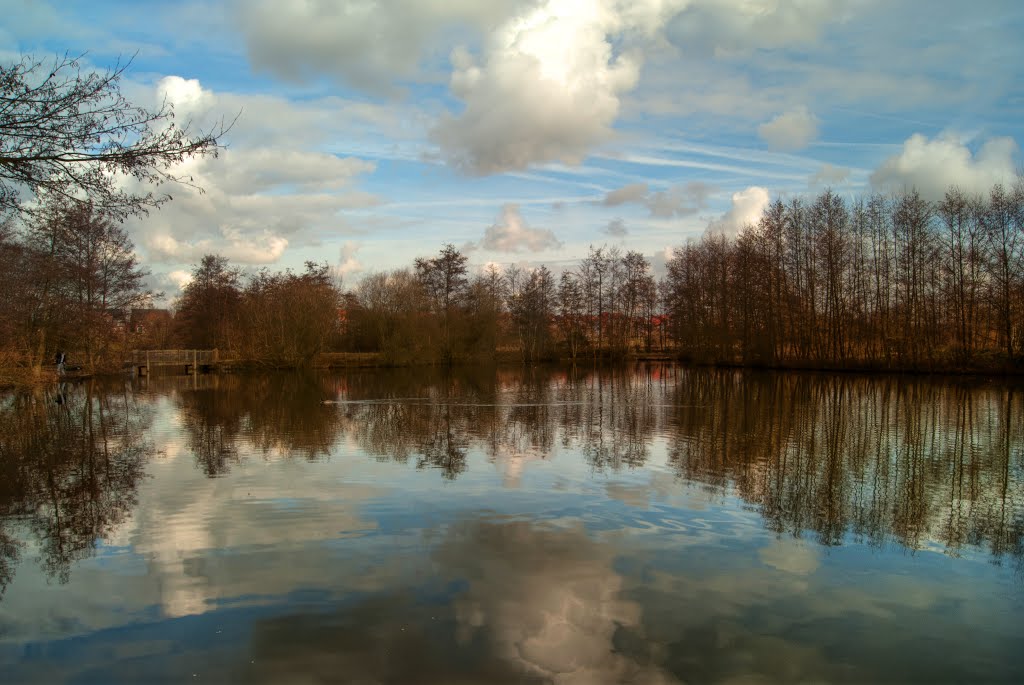 Lakeside Reflections by Hutchyp