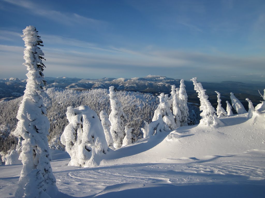 Looking northwest to Mount Washington by Walter Moar