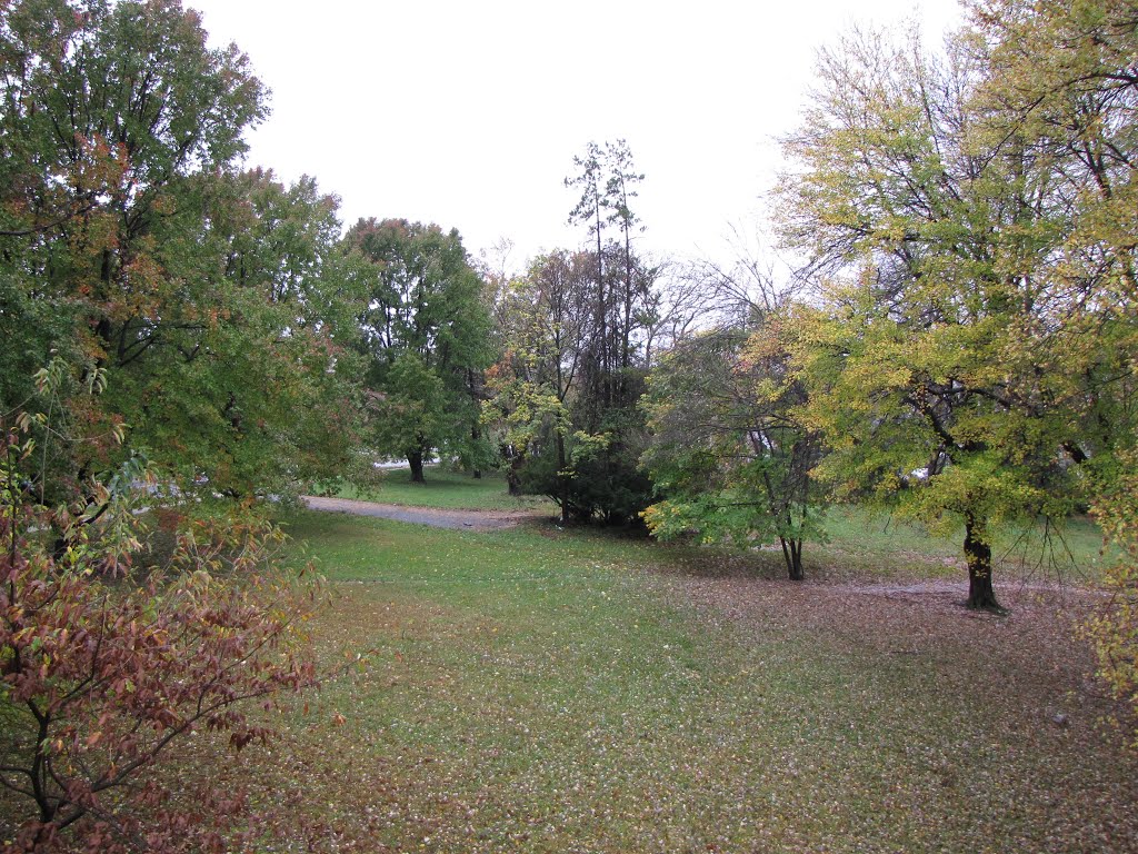 Vacant lot in Aspen Hill, Maryland following Hurricane Sandy by SchuminWeb