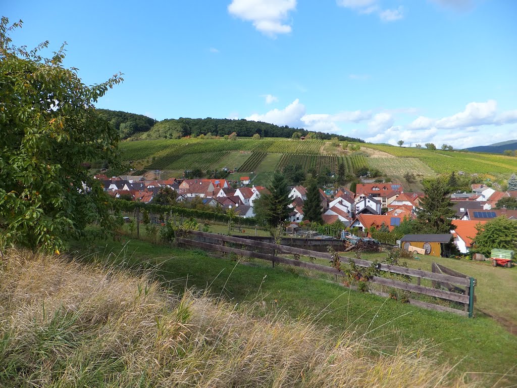 Ranschbach - An den Weinbergen by Matthias H.