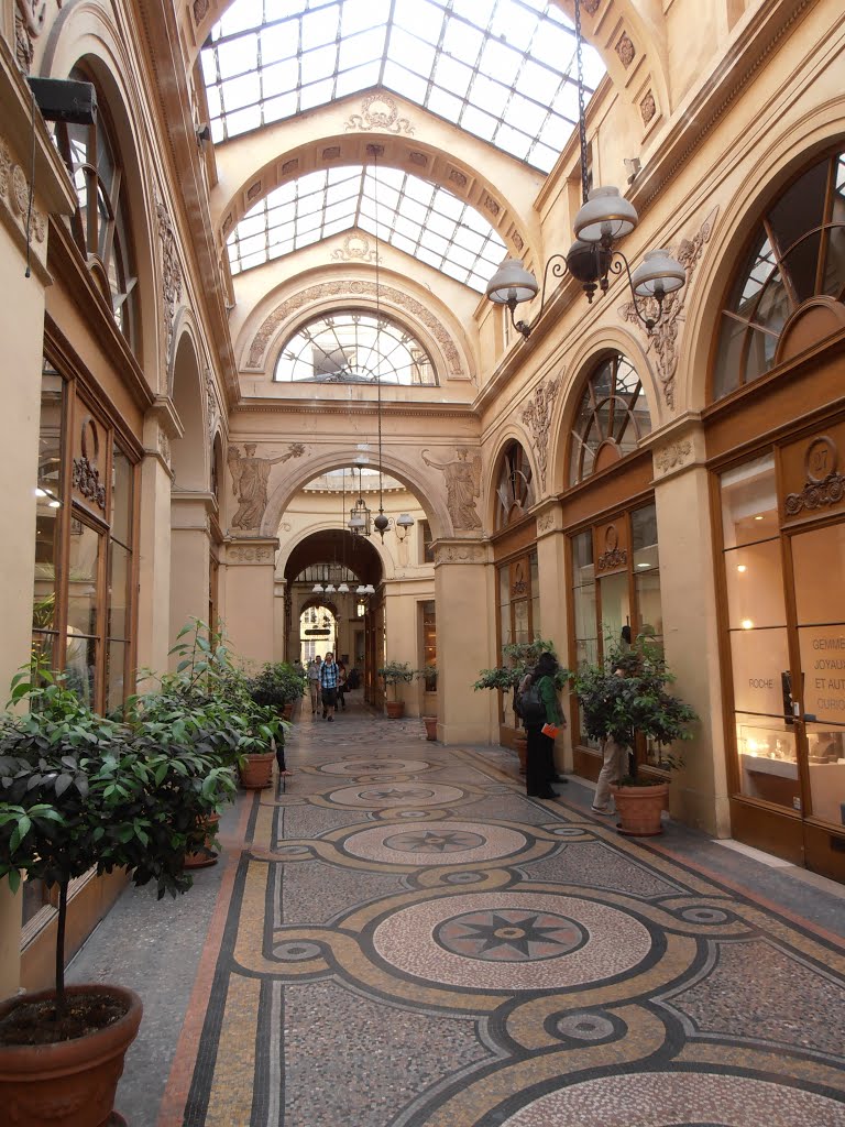 Galerie Vivienne by Alexander Brizhinyov