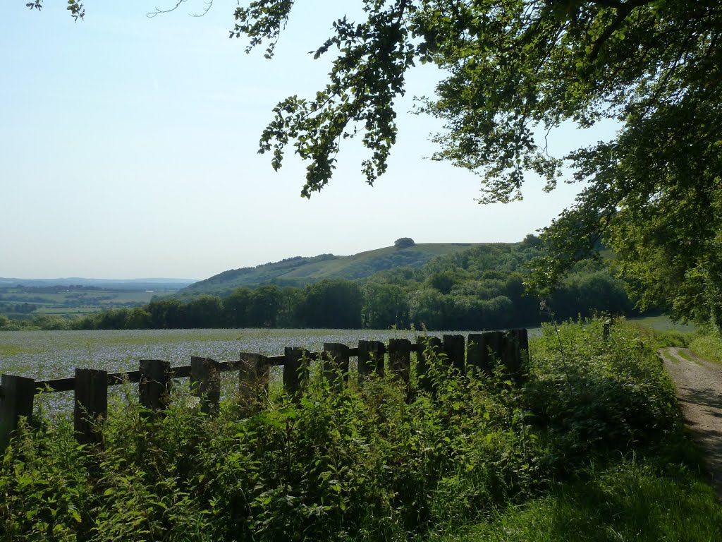 July 2011. Looking east from the South Downs Way, above South Harting. by RedRobbo