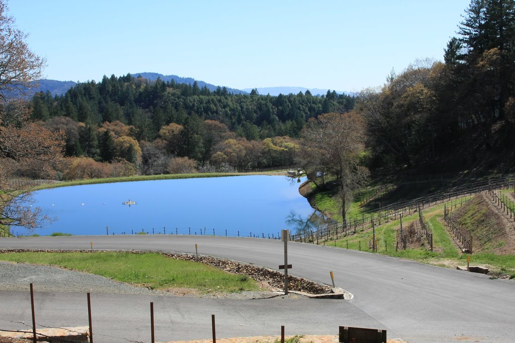 Pride Mountain Vineyard by eld0923