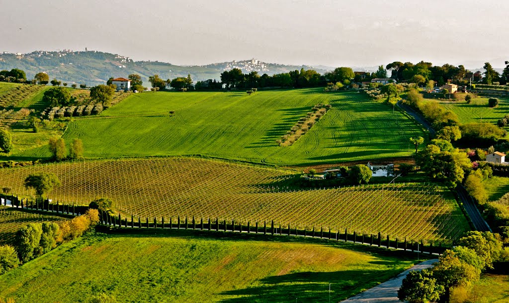 Campagna civitanovese by enricoerriko