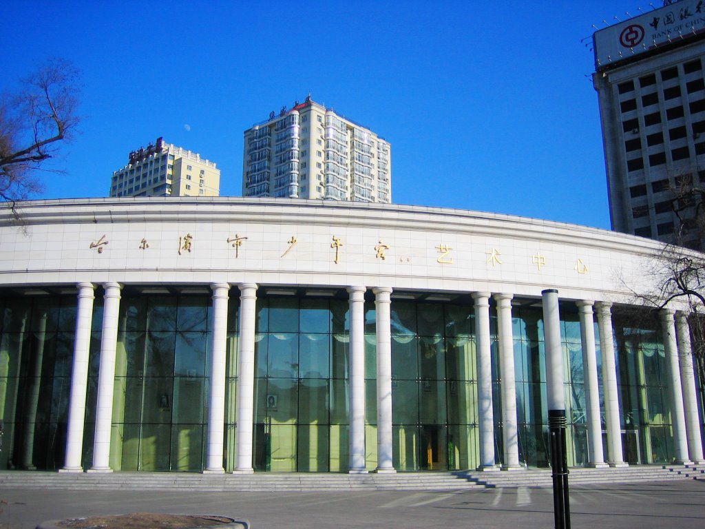 Harbin Chidren's Palace (Art Center) by NovHeaven