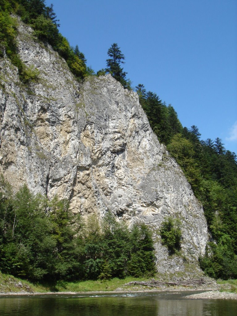 Pieniny skála by Coyote.cz