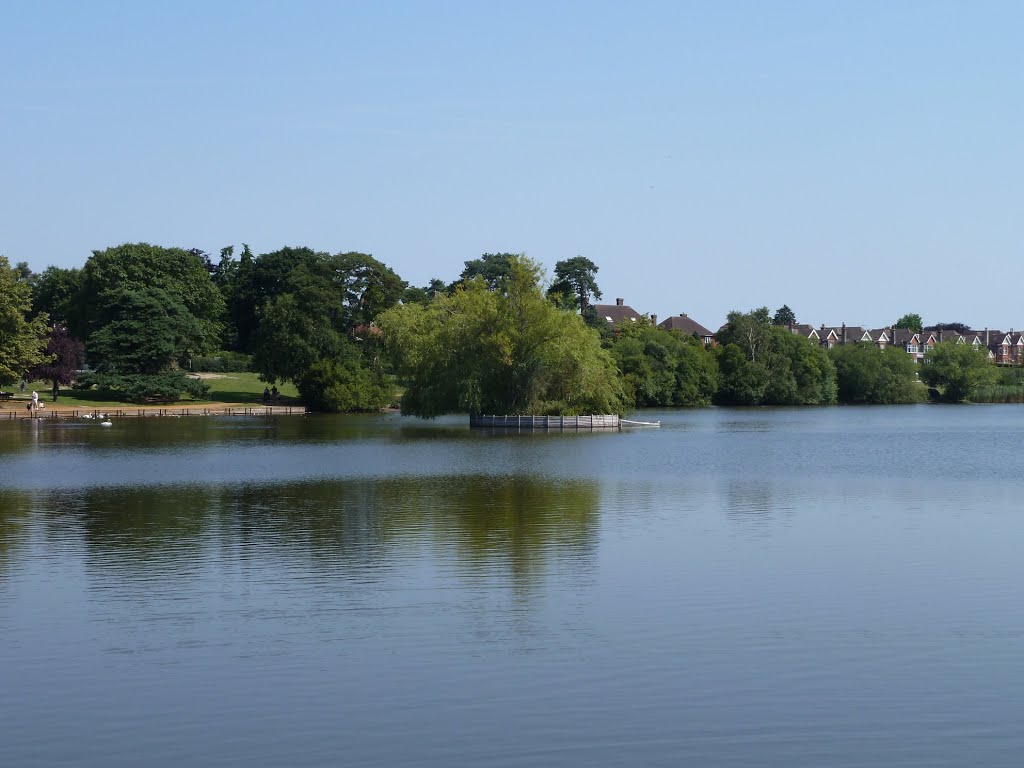 July 2011. Heath Pond, Petersfield. by RedRobbo