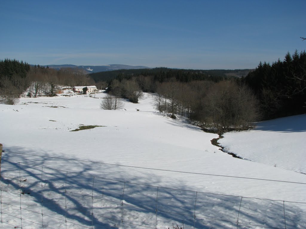 Forêt domaniale de l'Espinouse, la neige. by Phil'Ours