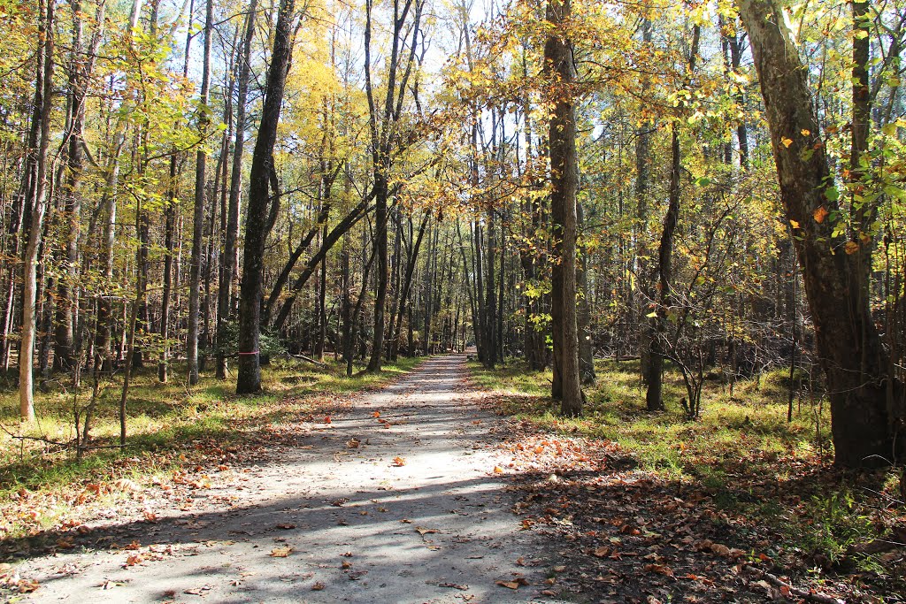 Prince George Courthouse Road, Petersburg National Battlefield by John MacKinnon