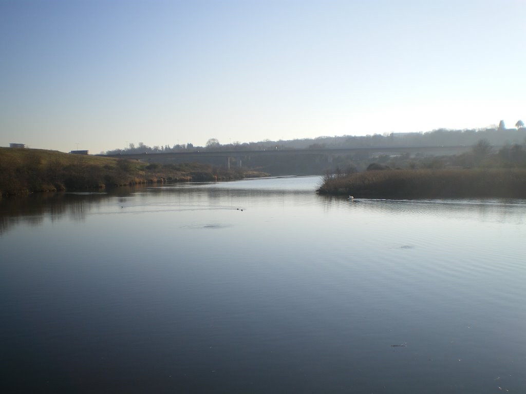 Ely river looking at the A4232 link rd flyover by Gareth.Stadden