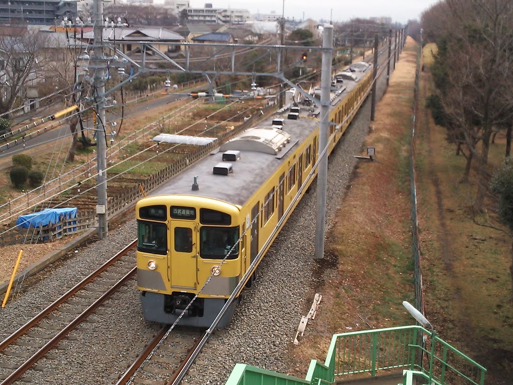 A train of Tamako-Line along the forest of Higashi-Murayama Central Park by Stokesia