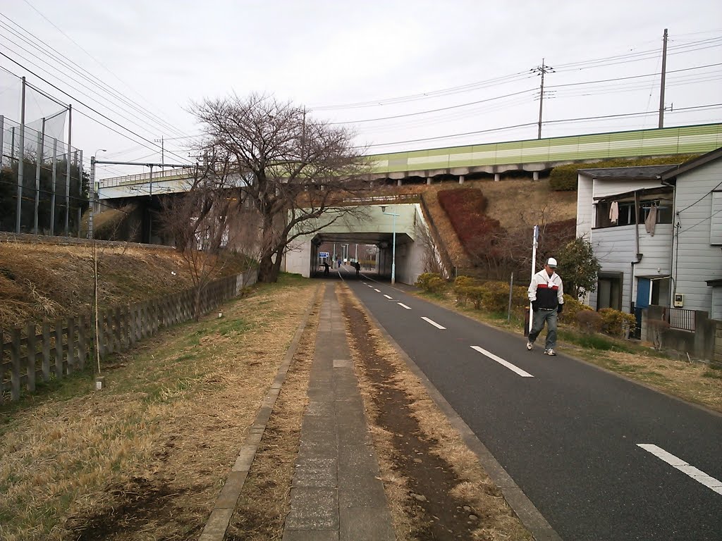 Lake Tamako Cycling Road by Stokesia