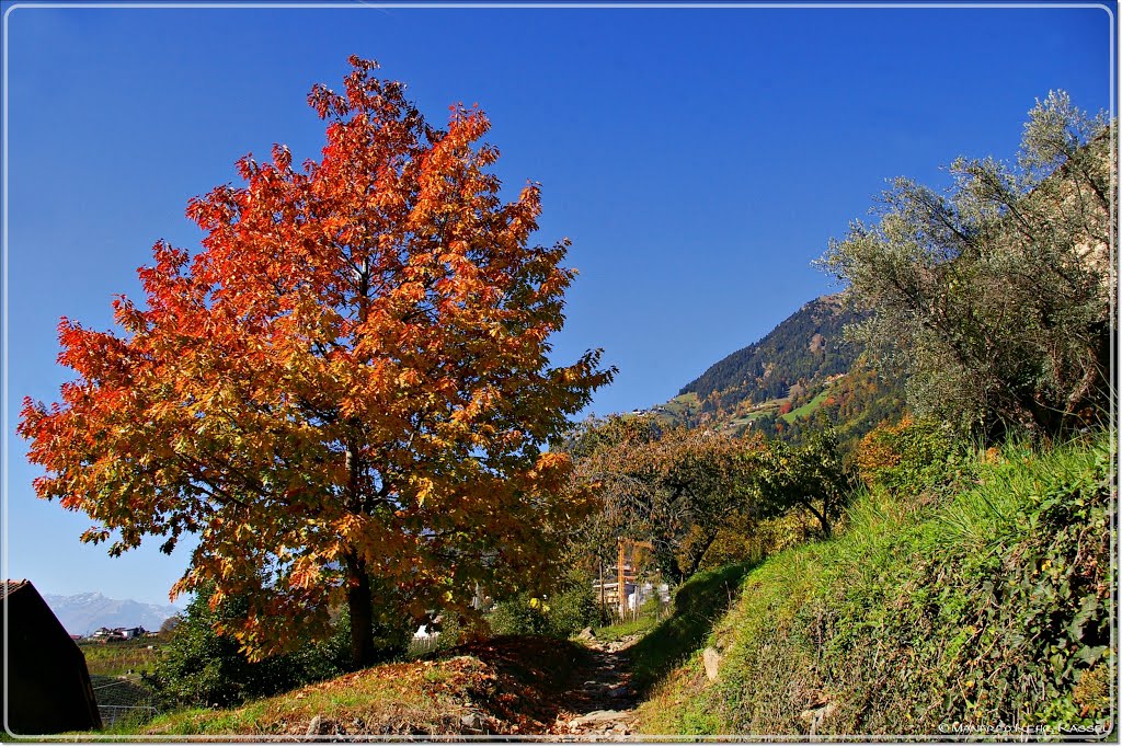 Dorf Tirol - Weg zum Schloss Auer by mkks34123