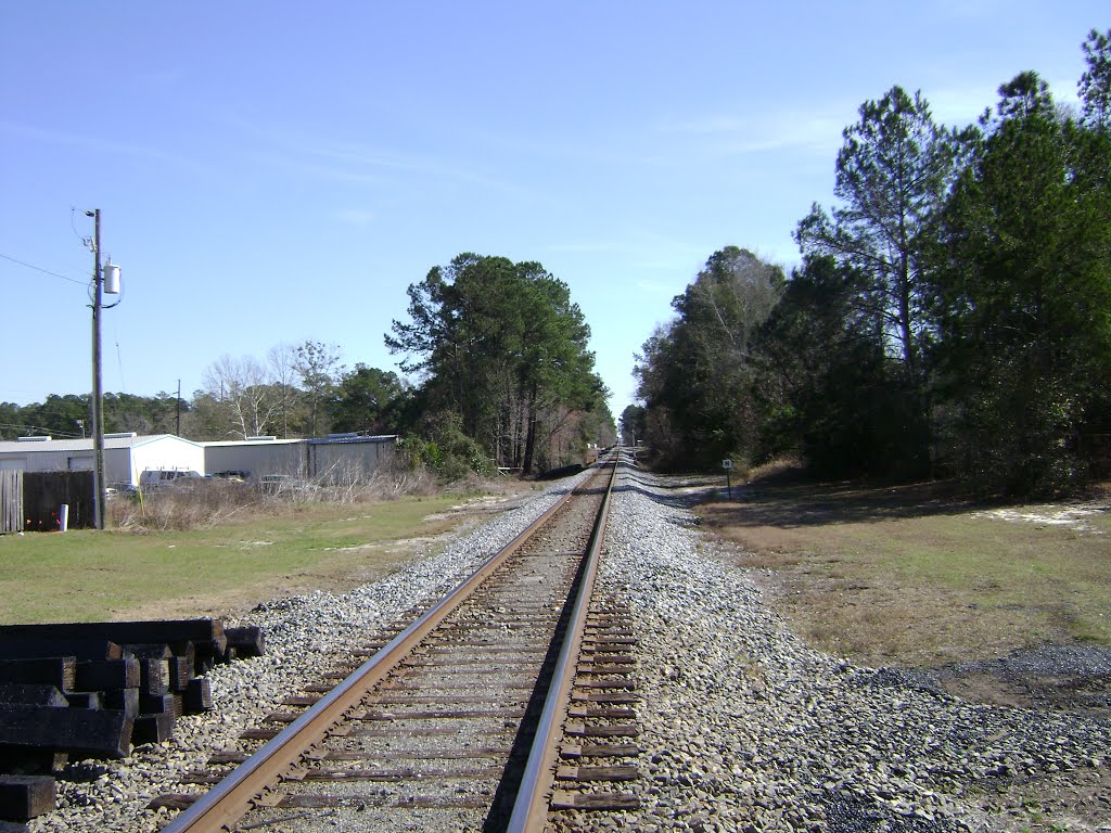 Remerton RR Tracks S Remer Ln by mriveraz