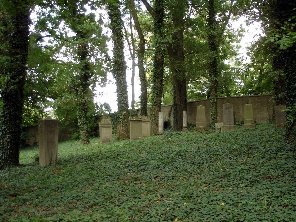 Jewish cemetery outside Binswangen by DebbieBlau