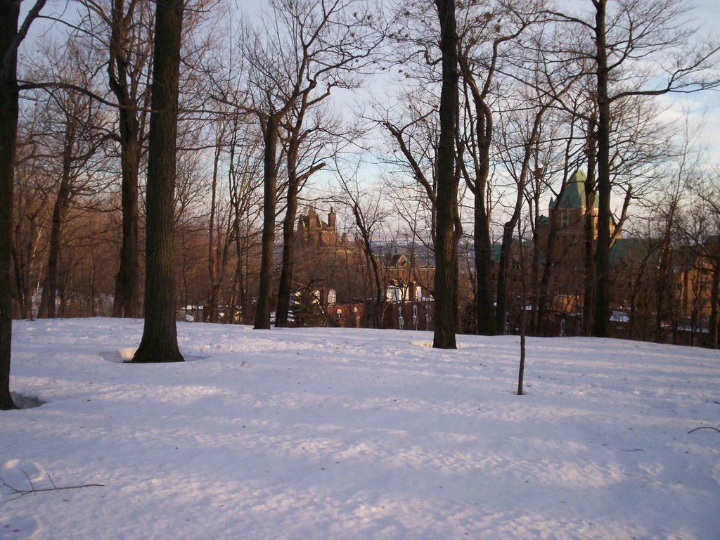 Lac aux castors Montreal Canada -hiver winter by Roencanada