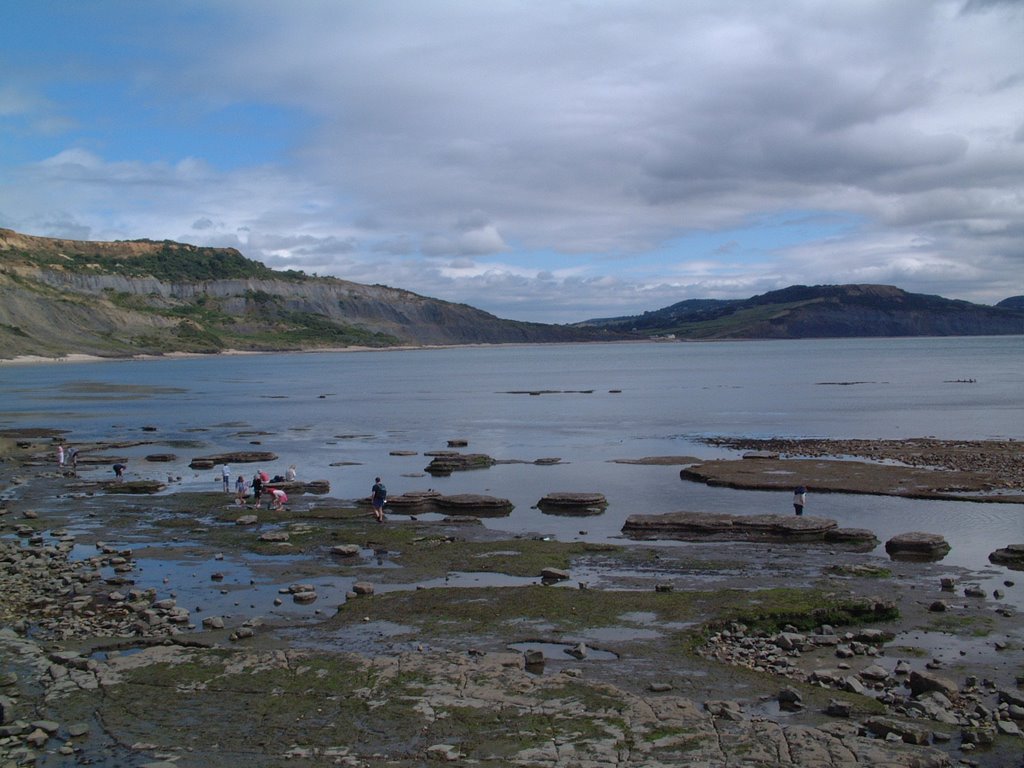 Lyme Regis looking towards Charmouth by Martin Caldwell