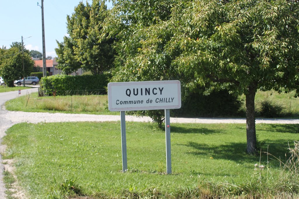 Quincy by hoferpat