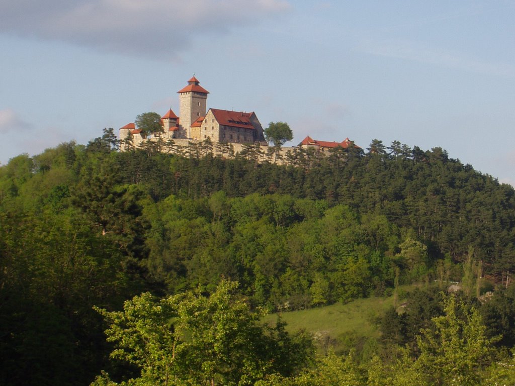 View to Castle Wachsenburg by icepickel