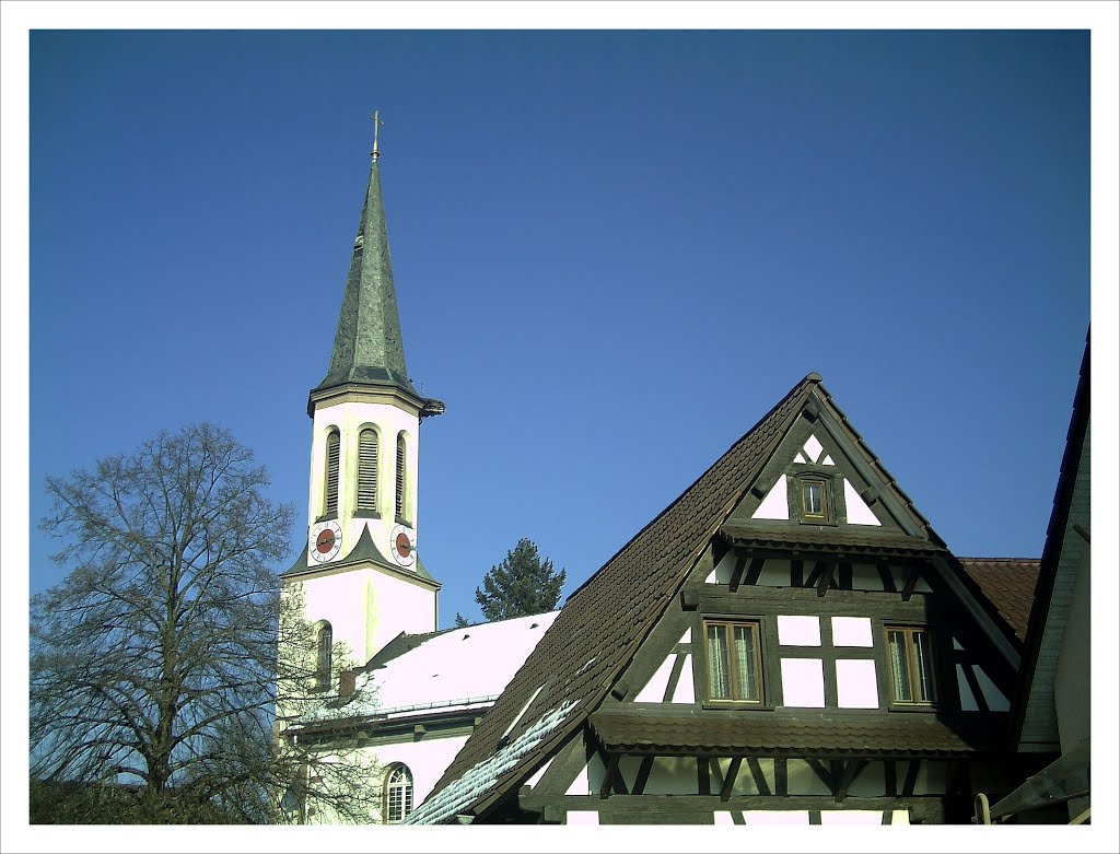 February Spring Homefleet-Cigogne arrived Southern Germany HABITAT - Magic Rhine Valley Photography 2013 by jettcom