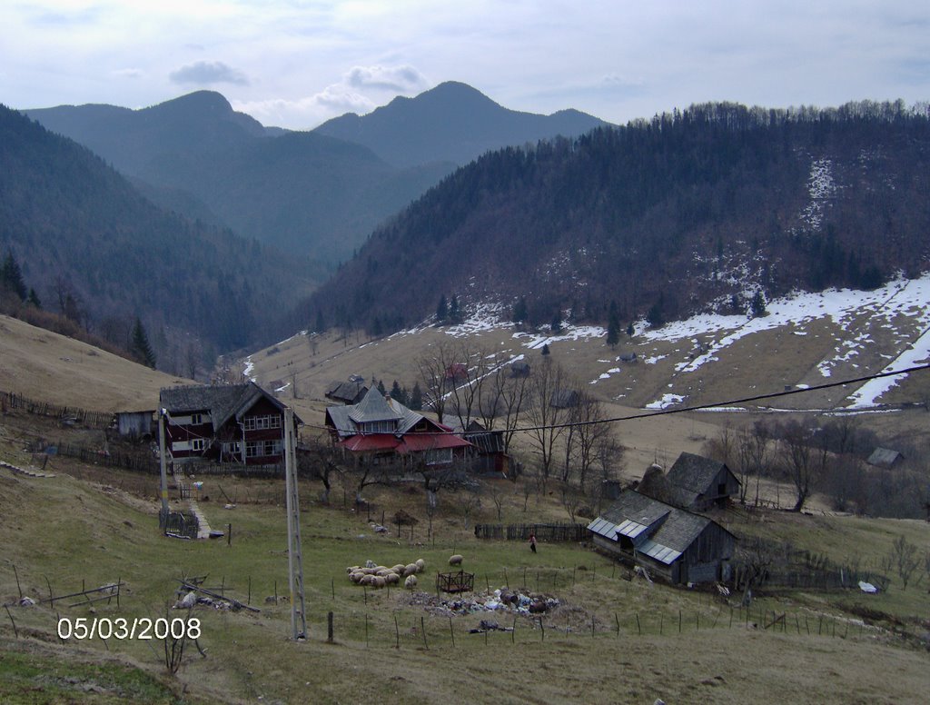 Near Brasov by Cristian Pitica