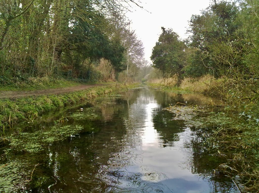 Wendover Arm of Grand Union Canal by RobBobTun