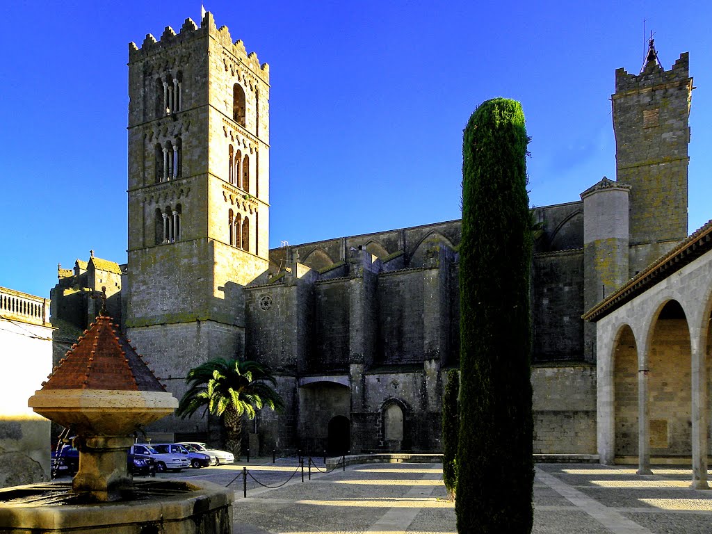 Basilica Santa MARIA......Plaça Joan Alsina....Torre de Campanar. by Feika