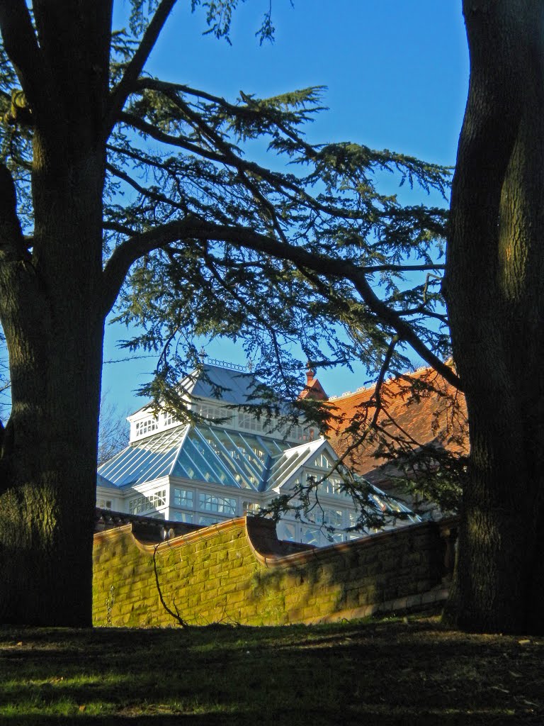 Belle Vue Park, Newport by David Owen