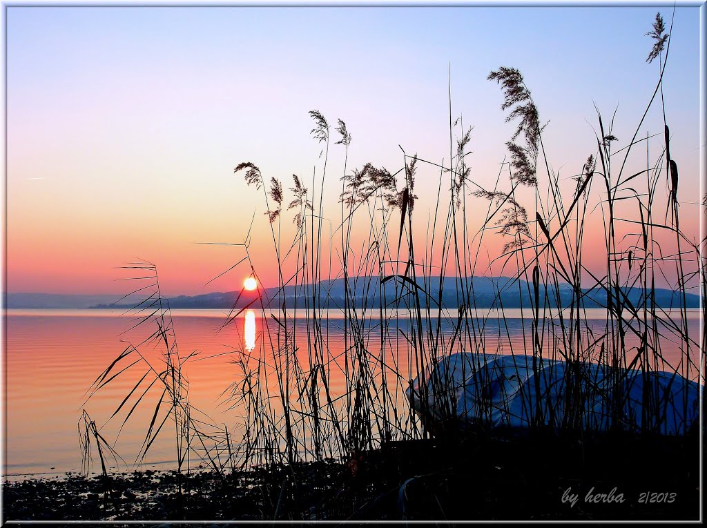 Sunset on the island of Reichenau by herba