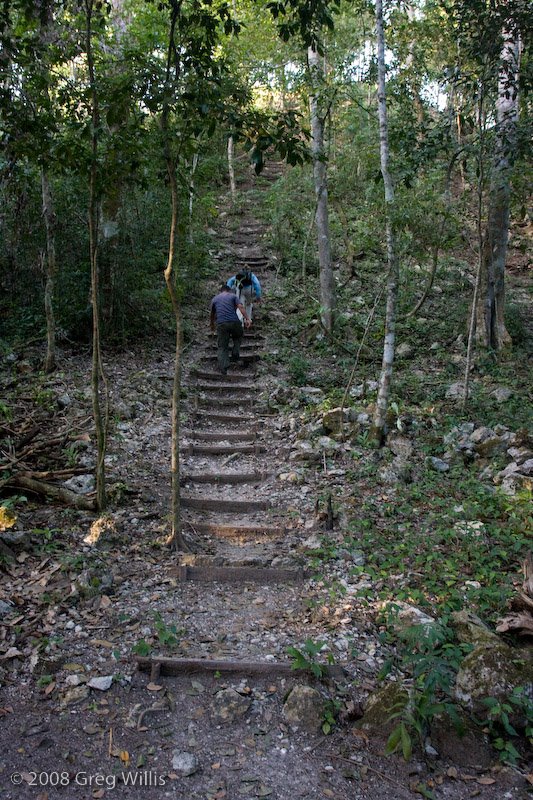 Tintal North Pyramid Stairs - [greg-willis.com] by Greg Willis